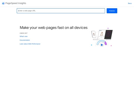 PageSpeed Insights